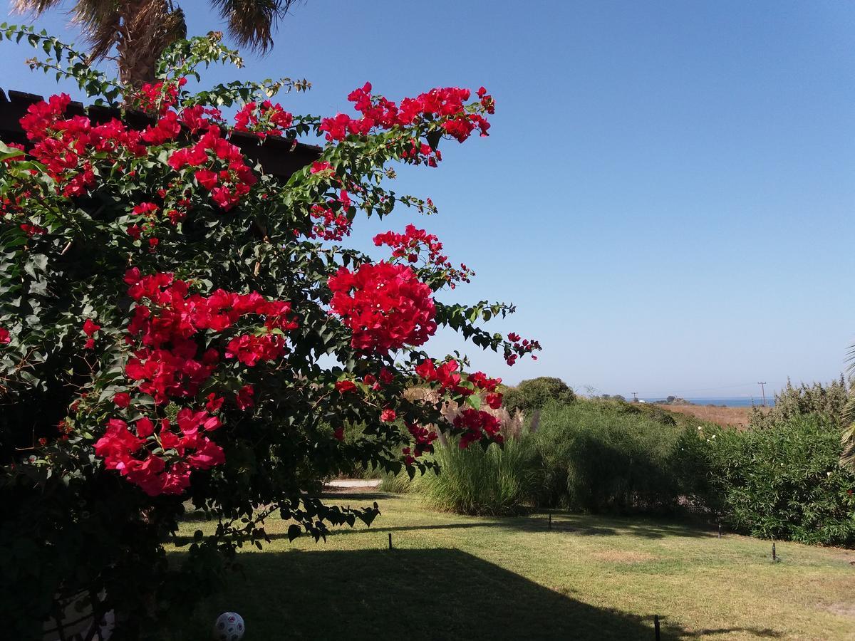 Villa Kos Мастихари Экстерьер фото